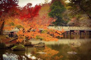 Осень в парке, Япония