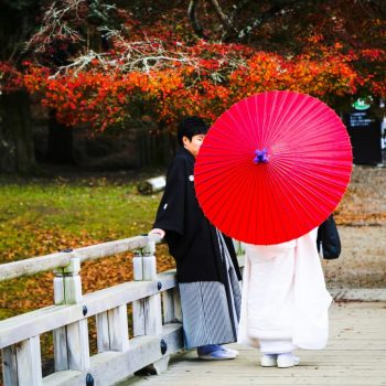 Гейша с зонтом в японском парке