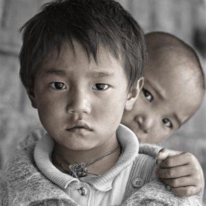 Маленькие Тибетцы