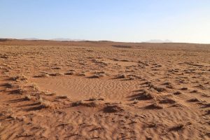 Круги в пустыни в Намибии