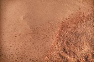 Ведьмины круги, круги на песке, Намибия