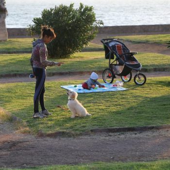 Парк, женщина и щенок