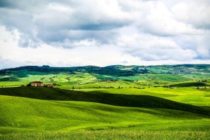 Зелёные поля Тосканы, Италия