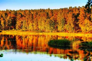 Осень в России, озеро