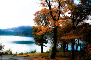 Япония, осень, озеро, природа