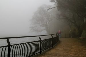 Хаконе в тумане