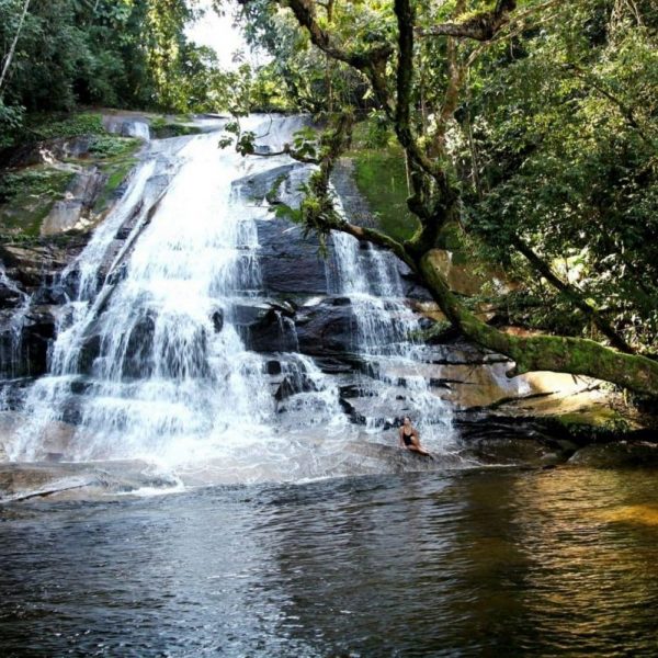 маленький водопад в бразильском лесу