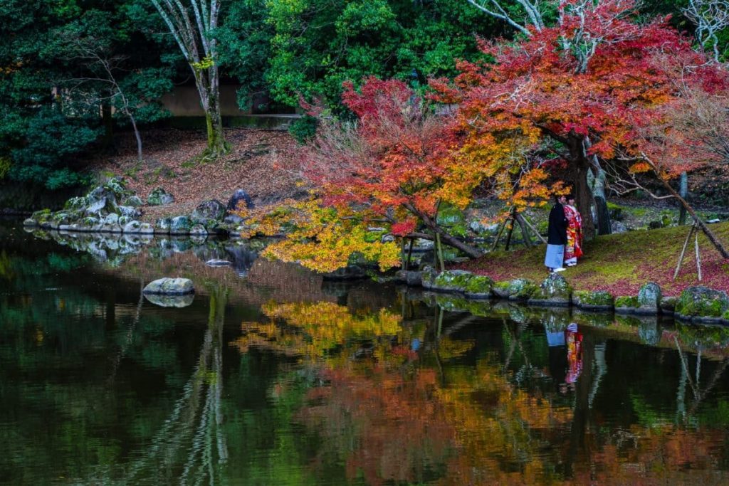 Нара, Япония, осенний парк