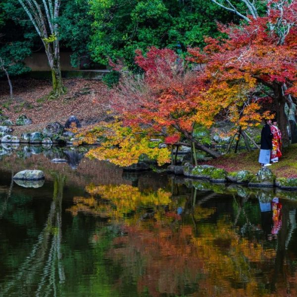 Нара, Япония, осенний парк