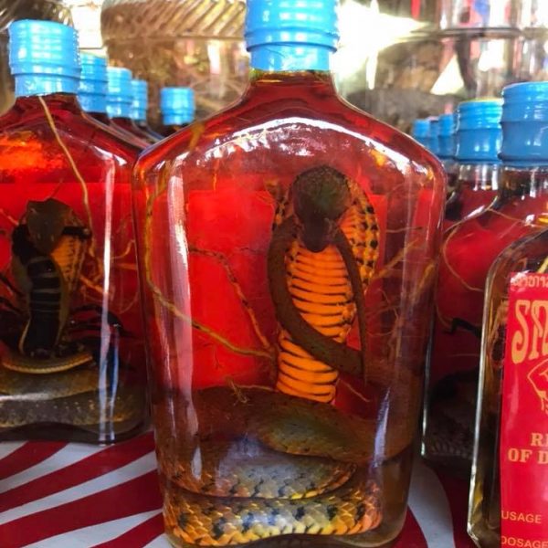 бутылка со змеёй в тайланде